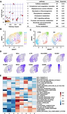 Multi-Omics Profiling Identifies Pathways Associated With CD8+ T-Cell Activation in Severe Aplastic Anemia